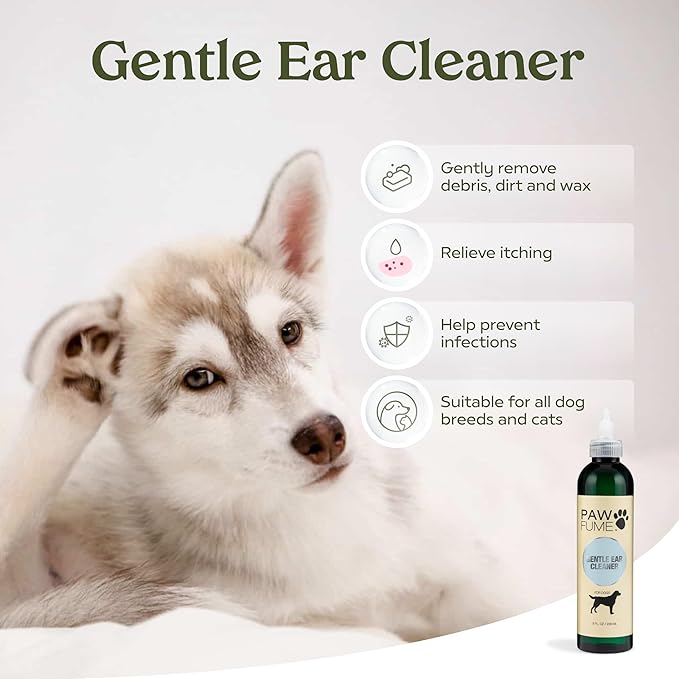 Pawfume Dog Gift Basket, 6-Piece Box  Give Your Pup a Spa-Quality Coat & Odor-Free Freshness  Probiotic Deodorizer Spray, Hypoallergenic Grooming Mist & Premium Brush  Dog Gift Boxes for All Breeds