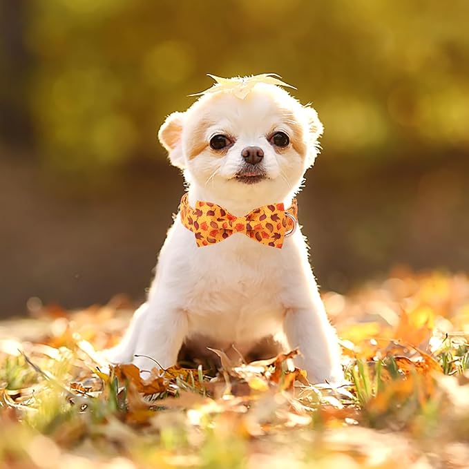 ARING PET Fall Dog Collar-Cotton Maple Leaves Dog Collar with Bow, Adjustable Autumn Bowtie Dog Collars Pet Necklace with Metal Buckle for Girl&Boy Dogs