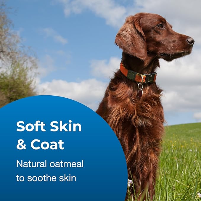 PetAg Fresh _ Clean Oatmeal _ Baking Soda Shampoo - Tropical Fresh Scent - 64 oz - Nurtures Dry, Itchy & Sensitive Skin with Vitamin E & Aloe - Strengthens & Repairs Coats - Soap Free