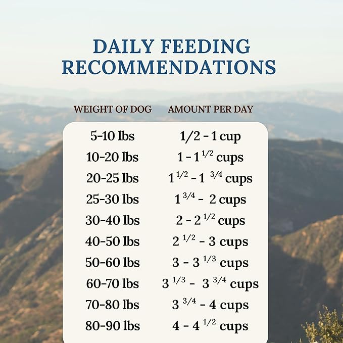 360 Pet Nutrition Freeze-Dried Raw Dog Food – Beef Recipe with Liver & Organs, High Protein with Omega-3s, Fruits, Veggies & Superfoods, Grain-Free, No Fillers, 1 lb – Made in USA