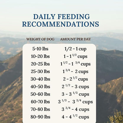 360 Pet Nutrition Freeze-Dried Raw Dog Food – Beef Recipe with Liver & Organs, High Protein with Omega-3s, Fruits, Veggies & Superfoods, Grain-Free, No Fillers, 3 lb – Made in USA