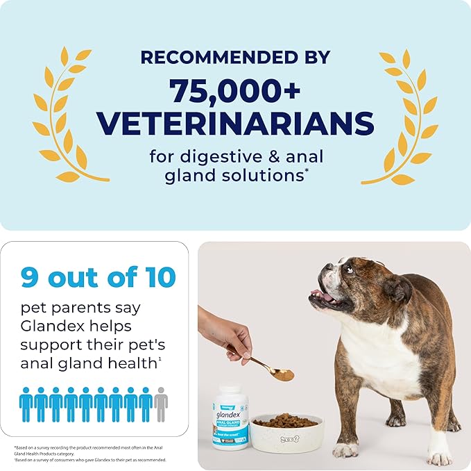 Vetnique Labs Glandex Dog Fiber Supplement Powder for Anal Glands with Pumpkin, Digestive Enzymes & Dog Probiotics for Digestive Health - Vet Recommended - Boot The Scoot (Pork Liver, 4.0oz Powder)