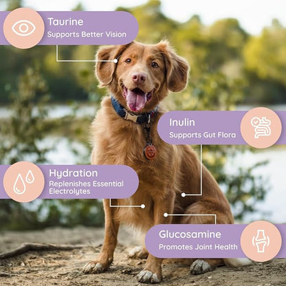 Dog Electrolytes and Joint Supplement | Glucosamine, Chondroitin & MSM for Inflammation and Mobility Support | Electrolytes for Dogs with Prebiotics | Salmon Lovers | 16 Packets