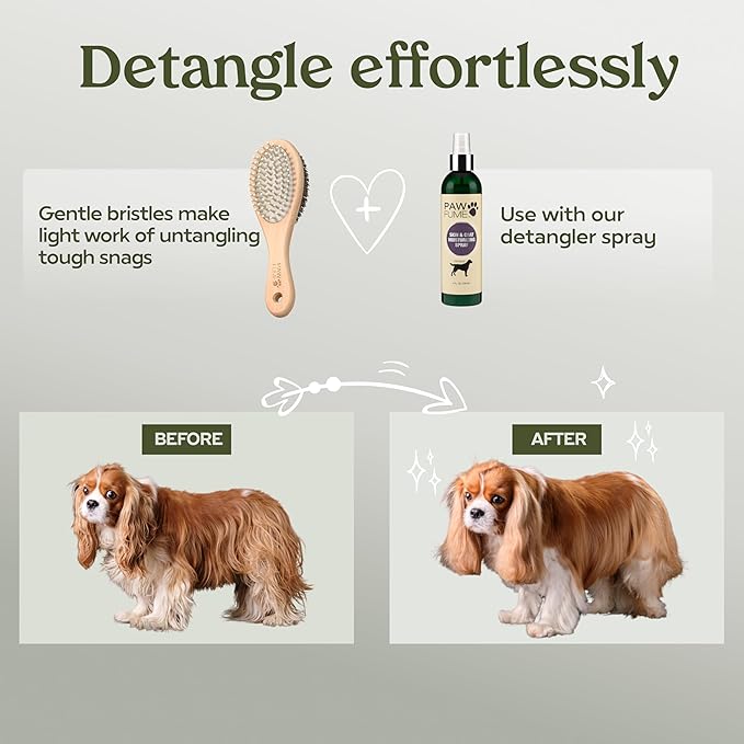 PAWFUME 2-in-1 Pet Brush  Dog Hair Brush  Cat Hair Brush  Dog Grooming Brush  Cat Grooming Brush  Soft Dog Brush for Long Haired Dogs  Soft Cat Brush for Long Haired Cats  Short Hair Dog Brush