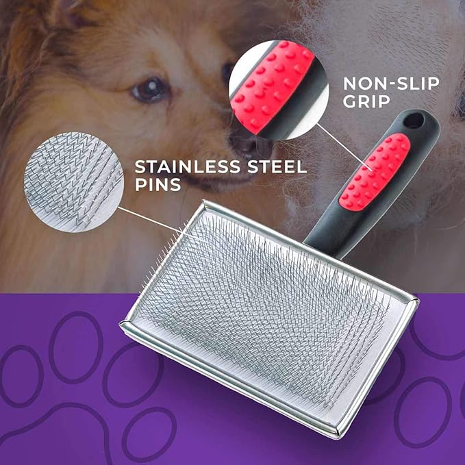 Ryan's Pet Supplies Paw Brothers Flat Slicker Brush for Dogs, Dog Brush for Short Haired Dogs, Professional Grade, Coated Tips, Gentle on Skin, Maximum Coverage, Medium, 3.5 in x 1.625 in