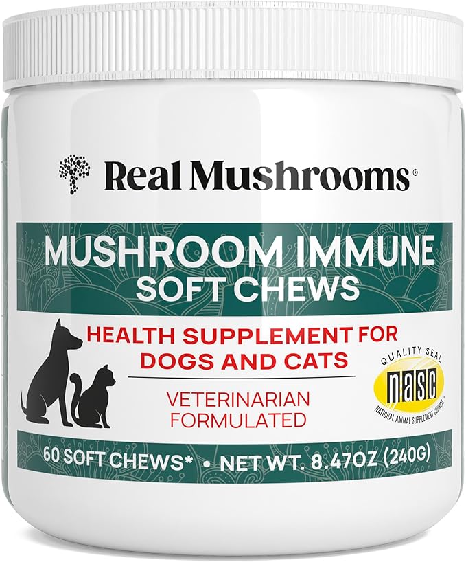 Real Mushroom Immune Pet Chews  For Daily Digestive & Immune Health  Mushrooms for Dogs & Cats Functional Treat  Mushroom Supplement for Dogs & Cats  1 to 4 Chews For All Breeds & Sizes (60 Count)