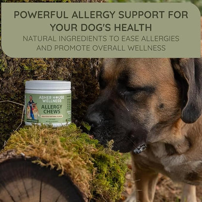 Asher House Wellness Dog Allergy Chews - All-Natural Itchy Skin Relief for Dogs with Bee Pollen, Colostrum - Licking Paw Treatment, Allergy Medicine for Dogs Over 12 Weeks, 120 Chews
