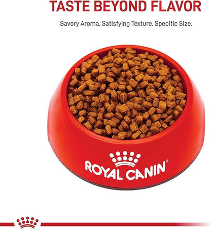 Royal Canin Breed Health Nutrition Chihuahua Puppy Dry Dog Food, 2.5 lb Bag
