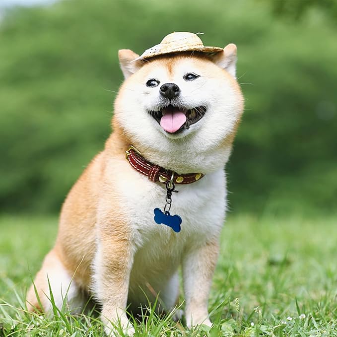 Dog Tag Clips 2 Pack Easy Change for Pet ID Tag Quick Clips Small Medium Large Dogs and Cats Collars|Black|