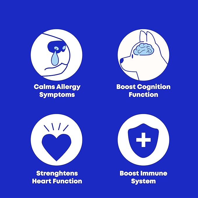 Wild Alaskan Salmon & Pollock Oil for Dogs – Itchy Skin, Shedding, Allergy & Joint Relief – NASC Certified Omega 3s – 16oz Liquid Food Topper – Club Hachiko