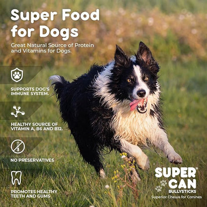 SUPER CAN BULLYSTICKS Pig Snouts for Dogs (8-Pack) 100% Natural Dog Chews - Non-GMOs Fully Digestible - Thick Whole Pork Chews - Long Lasting Dental Dog Treats - Softer Than Bully Sticks and Pig Ears