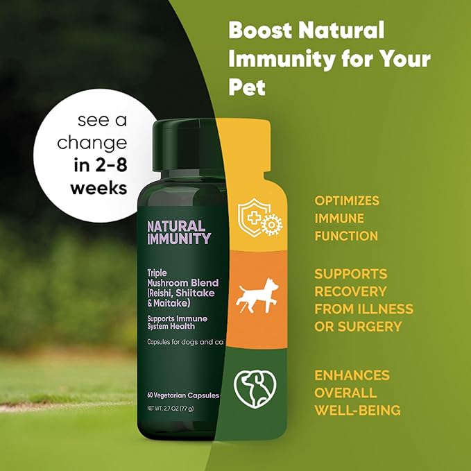 Rooted Owl Natural Immunity - Cat and Dog Immune Support - Triple Mushroom Supplement for Dogs & Cats with Reishi, Shiitake and Maitake Mushrooms - 60/ct Vegan Capsules