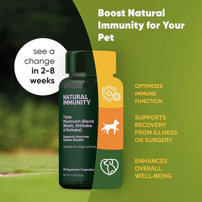 Rooted Owl Natural Immunity - Cat and Dog Immune Support - Triple Mushroom Supplement for Dogs & Cats with Reishi, Shiitake and Maitake Mushrooms - 60/ct Vegan Capsules