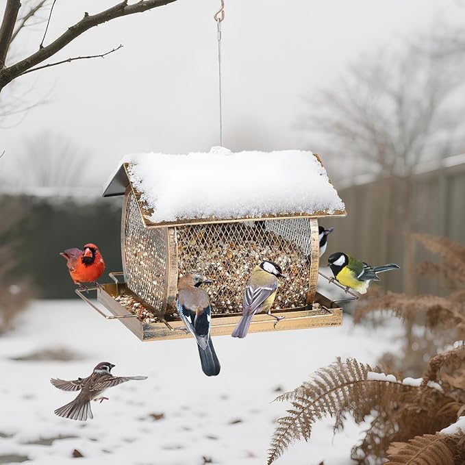 Bird Feeder for Outdoors, Wild Finch Birds Feeders Sparrow Feeder, Metal Birdfeeder Outside Hanging with Lid Fixing Buckle, 2Lbs Capacity
