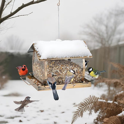 Bird Feeder for Outdoors, Wild Finch Birds Feeders Sparrow Feeder, Metal Birdfeeder Outside Hanging with Lid Fixing Buckle, 2Lbs Capacity