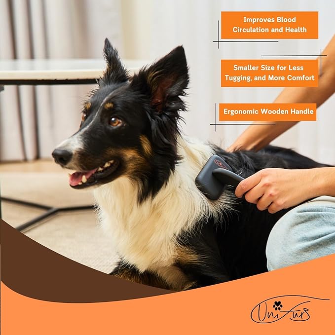 Black Dog Slicker Brush for Shedding & Grooming | Fluff & Volumize | Soft Bristles & Vented Cushion | Matt Rubberized Paint | Grippy Handle | Dog & Cat Brush | Wire Brush | Orange Details