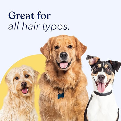 Honest Paws Dog Dry Shampoo - Waterless No Rinse Spray Formula Reducing Itch Cleanse Hydrate Nourish Dry Skin and Smelly Coat Help Decrease Odor Shedding and Allergies - Coconut & Mango - 8 oz