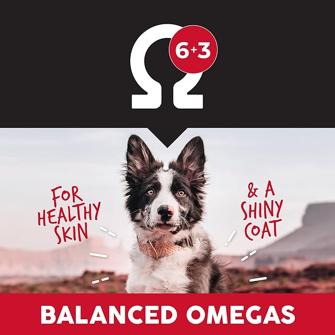 ULTIMATES Chicken Meal & Rice Dry Dog Food 5 lb