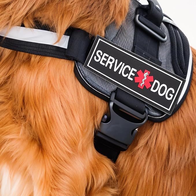 2Pcs Service Dog Patches for Harness, Removable Emotional Support Dog Vest Patches, Black in Training Dog Patch, Working Dog Applique Tactical Dog Equipment for Collar Leash (4_2'')