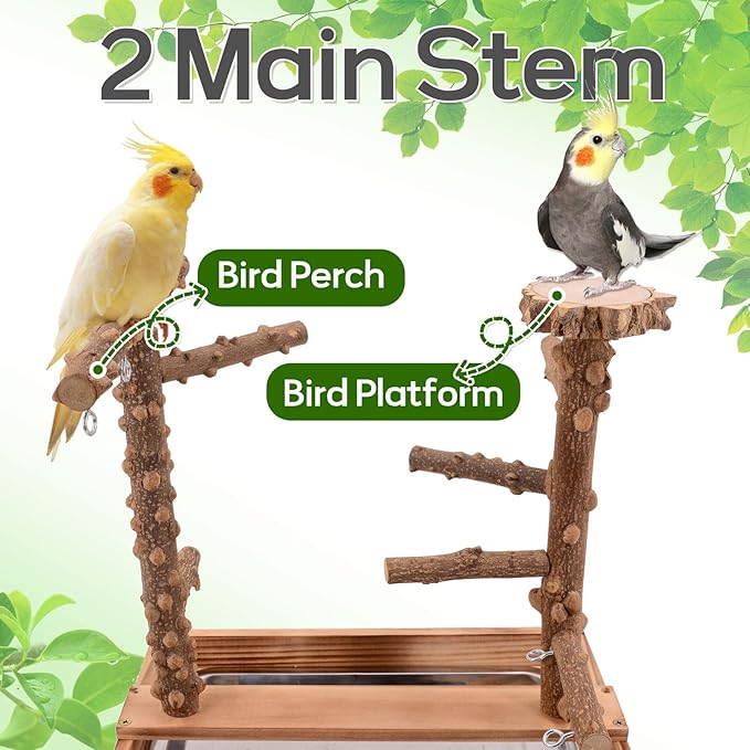 Bird Playground, Bird Perch Play Stand, Conure Parakeets Parrots Cockatiel Toys, for Bird Cage Accessories, Natural Wood