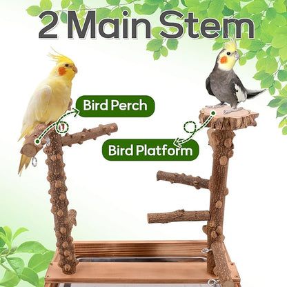 Bird Playground, Bird Perch Play Stand, Conure Parakeets Parrots Cockatiel Toys, for Bird Cage Accessories, Natural Wood