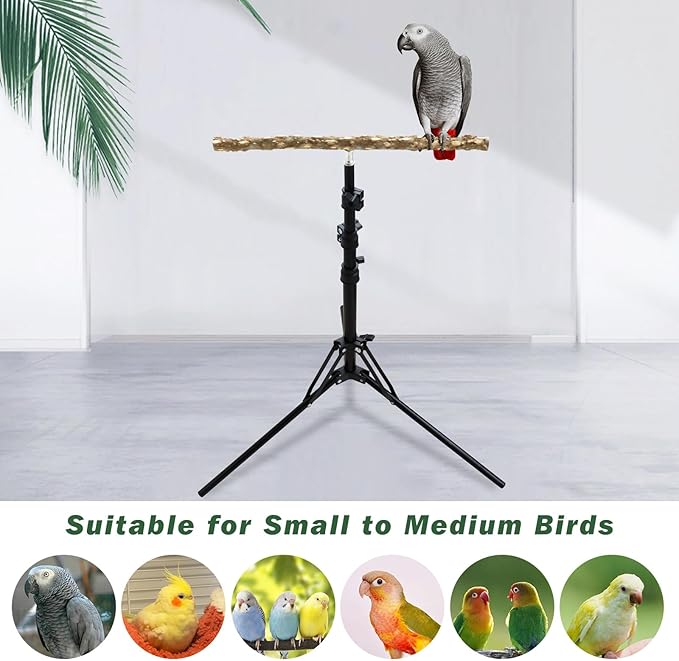 Wooden Bird Perch Stand with a Height Adjustable Tripod, Bird Training Accessories for Indoor or Outdoor, Birds Stand for African Grey, Budgies, Cockatiels, Lovebirds, Conures, Small to Medium Birds