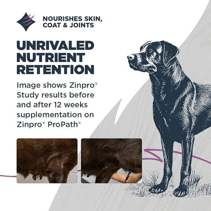 Blackwood Sensitive Skin & Stomach Dry Dog Food, Salmon Meal & Brown Rice with Ancient Grains, 24 Pound Bag with Prebiotics & Probiotics to Promote Gut Health