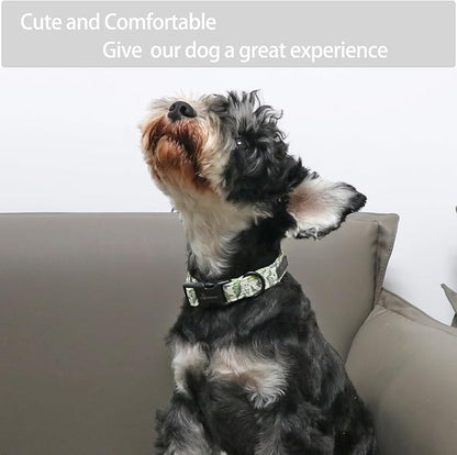 ARING PET Dinosaur Dog Collar-Cute Dog Collar for Small Dogs, Adjustable Comfortable Cotton Boy Dog Collars for Small Medium Large Dogs, Small