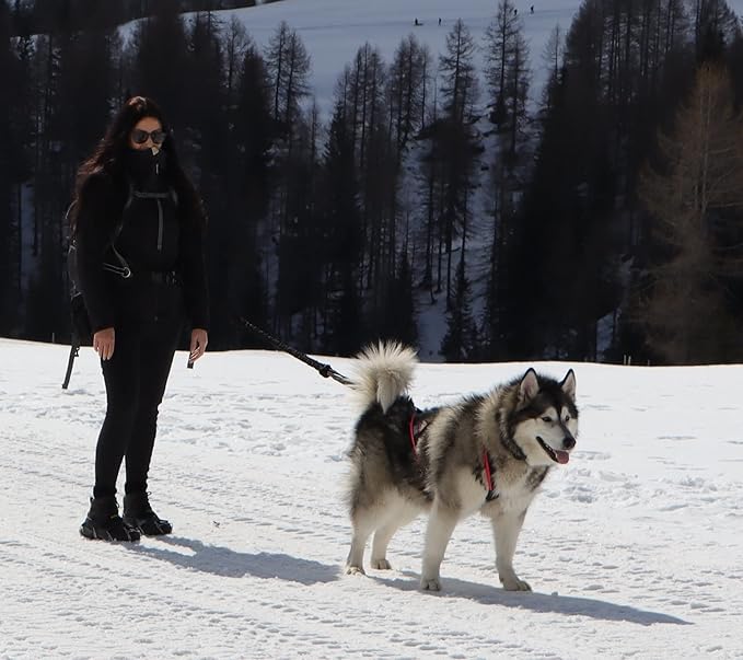 Dog Weight Pulling Harness, XBack for Canicross, Dog Sport, Bike Joring, Ski Joring, Sled Harness, Dog mushing, Dog Running Harness, Black Neongreen 4XL