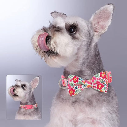 Didog Floral Dog Collar with Bow, Cute Girl Dog Collars with Detachable Bowtie, Soft & Comfy Spring Summer Dog Collar for Small Medium Large Dogs Gift Holiday, Pink, M