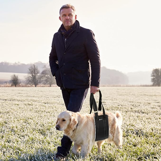 20-130 lbs Dog Lift Harness, Dog Sling for Large Dogs Hind Leg Support, Dog Support Harness for Back Legs, Help Lift Rear for Canine, Up and Down Stairs, Canine Aid (Large) Black