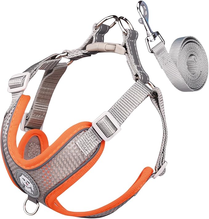 Dog Harness with Leash Set, No Pull Adjustable Reflective Step-in Puppy Harness with Thickened Padded Vest for Extra-Small/Small Medium Large Dogs and Cats (Grey, L)