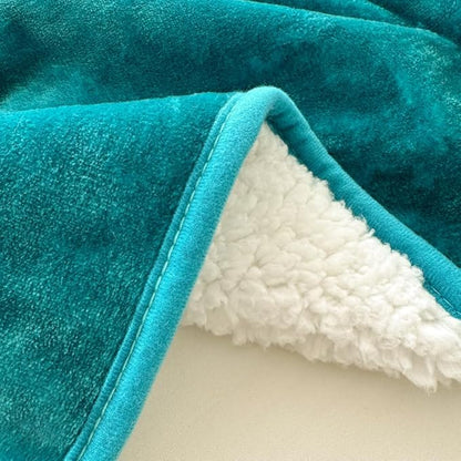 Bucephalus Waterproof Dog Blanket, Thick Reversible Soft Pet Blankets for Couch Bed Protection, Pee Proof Sherpa Fleece Blanket for Small Medium Large Dogs Puppy Cats Washable (Teal, 30"_40")