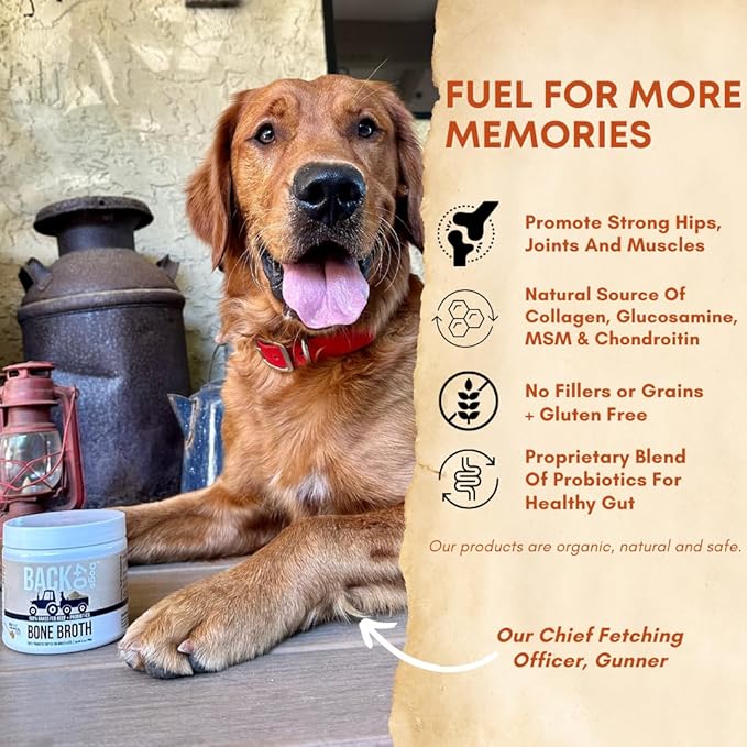 Grass-Fed Beef Bone Broth Powder for Dogs with Probiotics, Chondroitin & Glucosamine – Supports Gut Health, Joint & Immune System – Human Grade Dog Food Toppers for Picky Eaters, 6.4oz