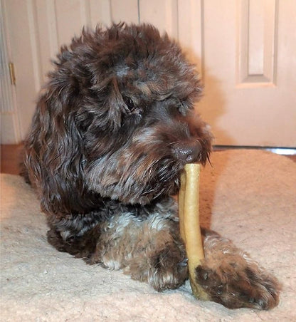 Yak Snak Dog Chews - All Natural Hard Cheese Himalayan Dog Treats - Long Lasting Dog Chews, Made from Yak Milk, Small, Medium, Large & Extra Large Sizes (Medium 4-Pack)