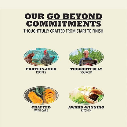 Singles Freeze Dried Dog Treats, Limited Ingredient Grain Free Beef & Pumpkin Recipe, 1.25oz