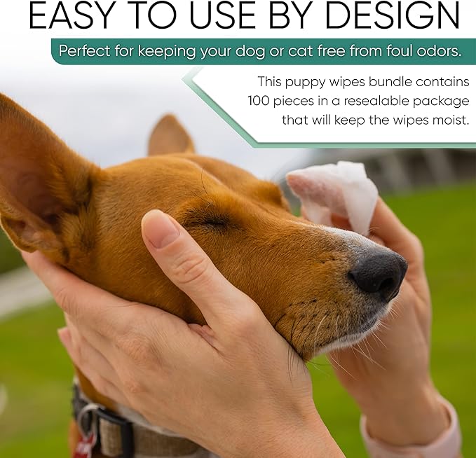 MAGICARE Dog Wipes for Paws, Butt, Ears & Eyes  100 Extra Wet & Thick Unscented Grooming Pet Wipes for Dogs & Cats  Deodorizing, Hypoallergenic  Made in USA