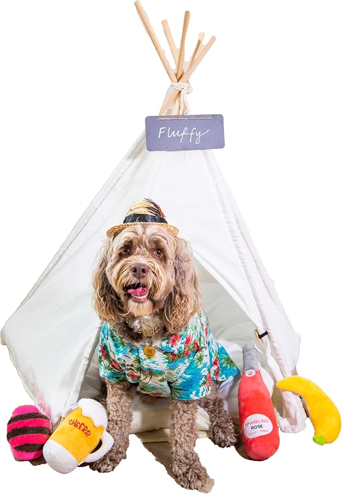 Cat Tent, Portable Dog Tent for Small Pets, Stylish Teepee Design, Cozy Hideaway Reduces Pet Stress, Easy Clean Canvas, Foldable Pet Bed - White, Portable