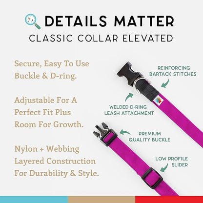 Dog Collar, Lightweight, Heavy Duty Dog Collar with Buckle, Fabric Pet Collar, Breathable & Adjustable Puppy Collar, Dog Collars for Small Dogs (Fuchsia, Small - 8-12 Inch) - Wildebeest