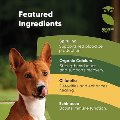 Rooted Owl Blood Support - Immunity, Recovery and Iron Supplement for Dogs & Cats - Anemia Support with Spirulina and Chlorella - 60/ct Vegan Capsules