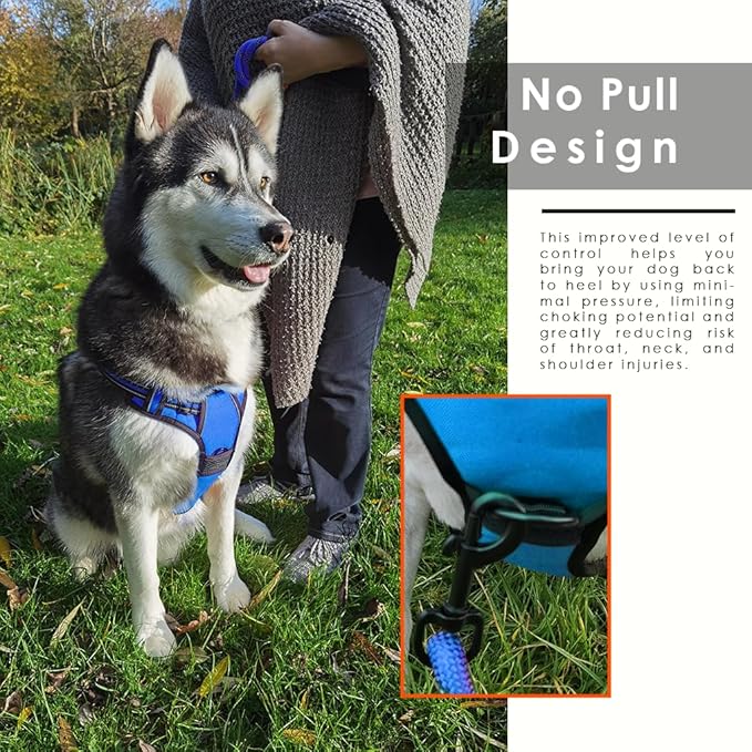 Dog Harness and Leash Duo, No Pull Vest Harness with 5 Ft Leash, Soft padded Vest, No-Choke Oxford Pet Harness, Easy Control Handle and Adjustable Pet Harness (Blue, Medium)
