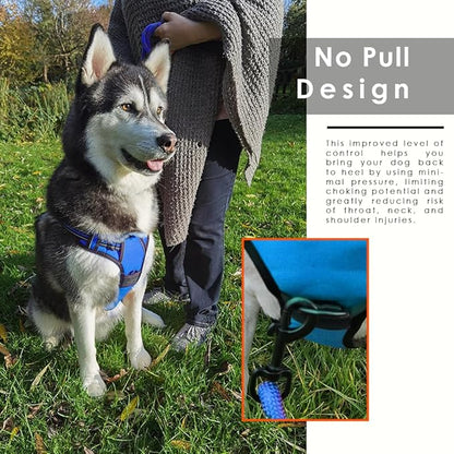 Dog Harness and Leash Duo, No Pull Vest Harness with 5 Ft Leash, Soft padded Vest, No-Choke Oxford Pet Harness, Easy Control Handle and Adjustable Pet Harness (Blue, Medium)