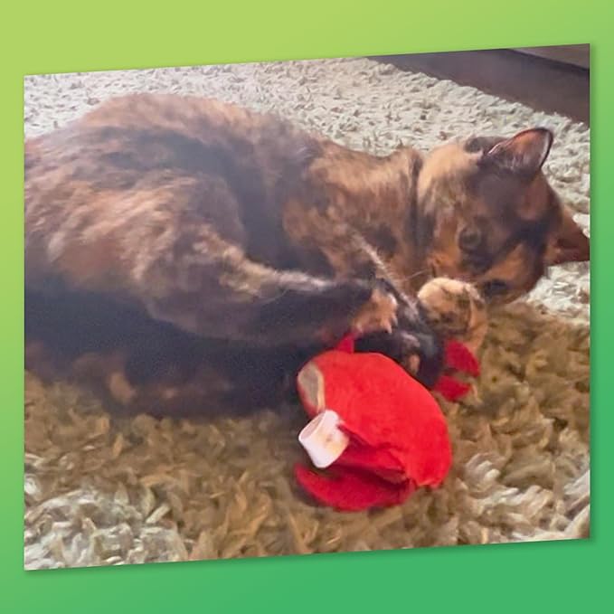 ZOOMIE Crab - Refillable Catnip Toy + Catnip | High Potency Hand Harvested Fresh | Soft Plush for Engaging Play