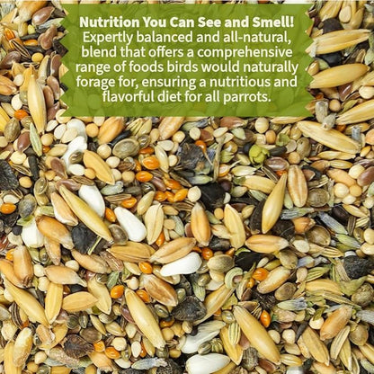 Premium Parrot Food| Protein-Rich Low-Fat Formula | Cockatiel, Conure, Lovebird, Quaker, Parrotlet | No Corn, Soy, Peanuts | Gourmet Whole Grains & Seeds | Daily Maintenance Blend (3 lbs)