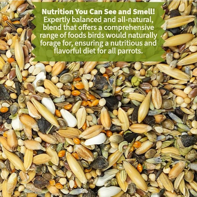 Premium Parrot Food| Protein-Rich Low-Fat Formula | Cockatiel, Conure, Lovebird, Quaker, Parrotlet | No Corn, Soy, Peanuts | Gourmet Whole Grains & Seeds | Daily Maintenance Blend (1 lb)