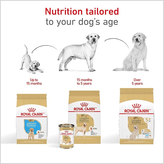 Royal Canin Breed Health Nutrition Labrador Retriever Adult Dry Dog Food, 17 lb Bag