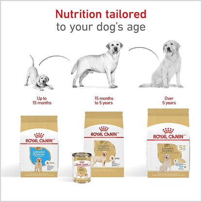 Royal Canin Breed Health Nutrition Labrador Retriever Adult Dry Dog Food, 17 lb Bag