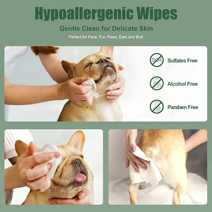 Dog Wipes for Paws and Bum, Hypoallergenic Pet Grooming Wipes Natural and Gental, 100 Wipes for Cleaning & Grooming Moisturizing Coconut