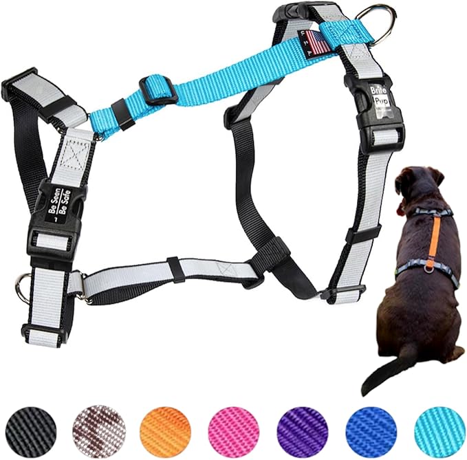 Dog Harness for Medium Dogs No Pull - Fully Customizable Fitment - 3M Reflective Heavy Duty Harness for Walking & Training - No Choke Comfortable Collar Design, Made in USA M-Sky Blue