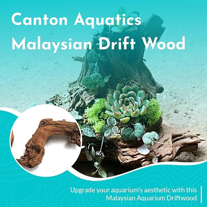 Malaysian Drift Wood Aquascaping Aquarium Decoration Large
